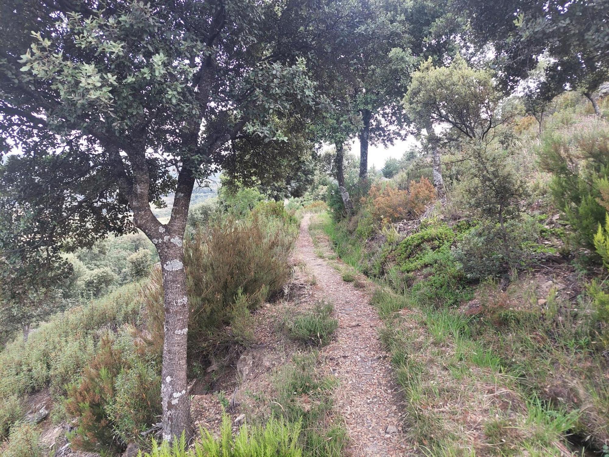 Las Peonias Casa Rural Almiruete Zewnętrze zdjęcie